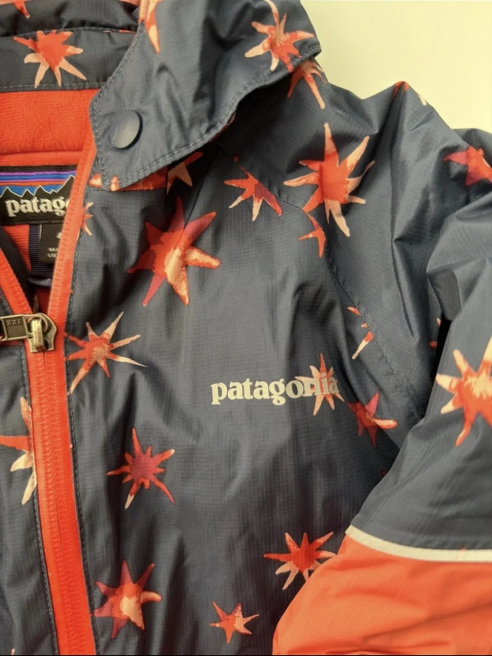 Patagonia water resistant